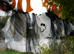 more ghosts more ghosts