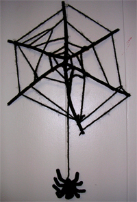 The finished spider web The finished spider web