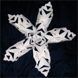 The final snowflake The final snowflake