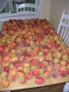 peaches