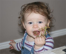 emily eating grapes emily eating grapes