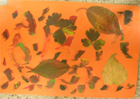 Megan’s placemat Megan’s placemat